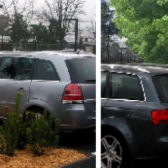 bandes plantées sur les parkings