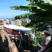 Vue depuis les hauts de Mama'O