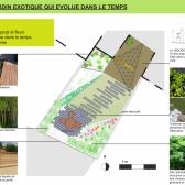 esquisse choisie : le jardin exotique